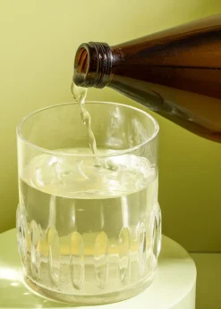 Bio Aloe Vera 100 % Direktsaft 1 L