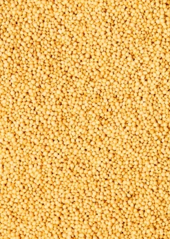 Bio Amaranth 2 kg