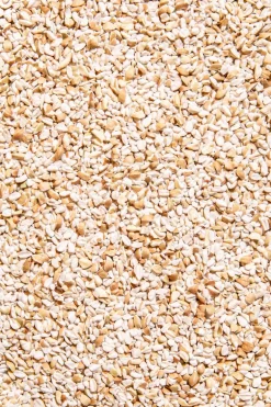 Bio Buchweizengrütze 2 kg