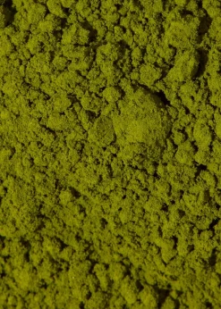 Bio Chlorella Pulver 1 kg