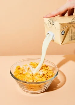 Bio Cornflakes ohne Zuckerzusatz 1 kg