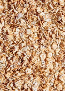 Bio Dinkelflocken Feinblatt 2,5 kg