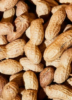Bio Erdnüsse mit Schale 1 kg