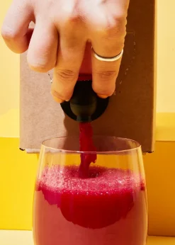 Bio Gemüsesaft Bag-in-Box 3 L