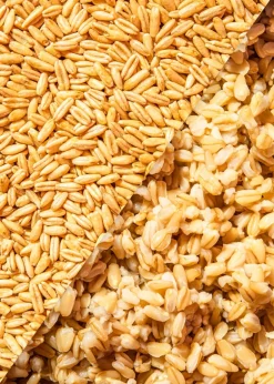 Bio Haferkerne 2,5 kg