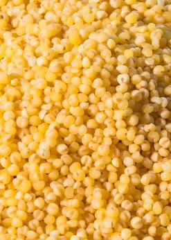 Bio Hirse 2 kg