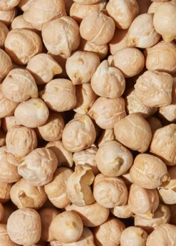 Bio Kichererbsen 25 kg