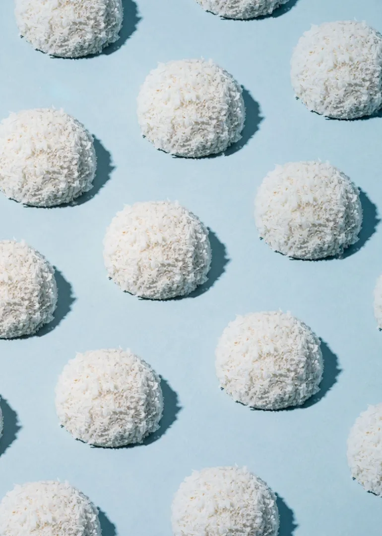 Bio Kokosraspeln 1 kg
