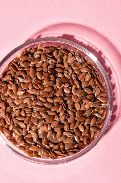 Bio Leinsamen 2 kg