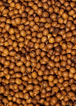 Bio Lupinenkaffee ganze Bohne 1 kg