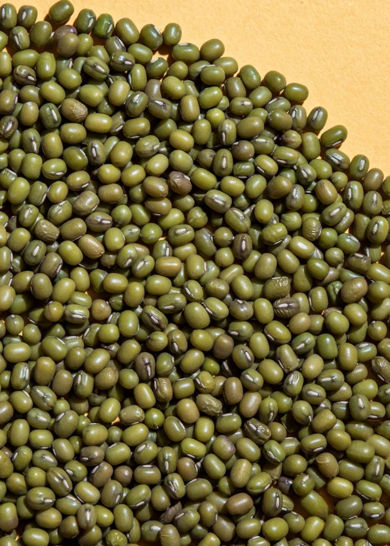 Bio Mungbohnen 2 kg