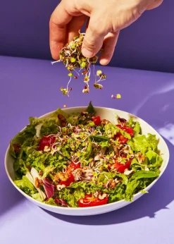 Bio Radieschen Samen 1 kg