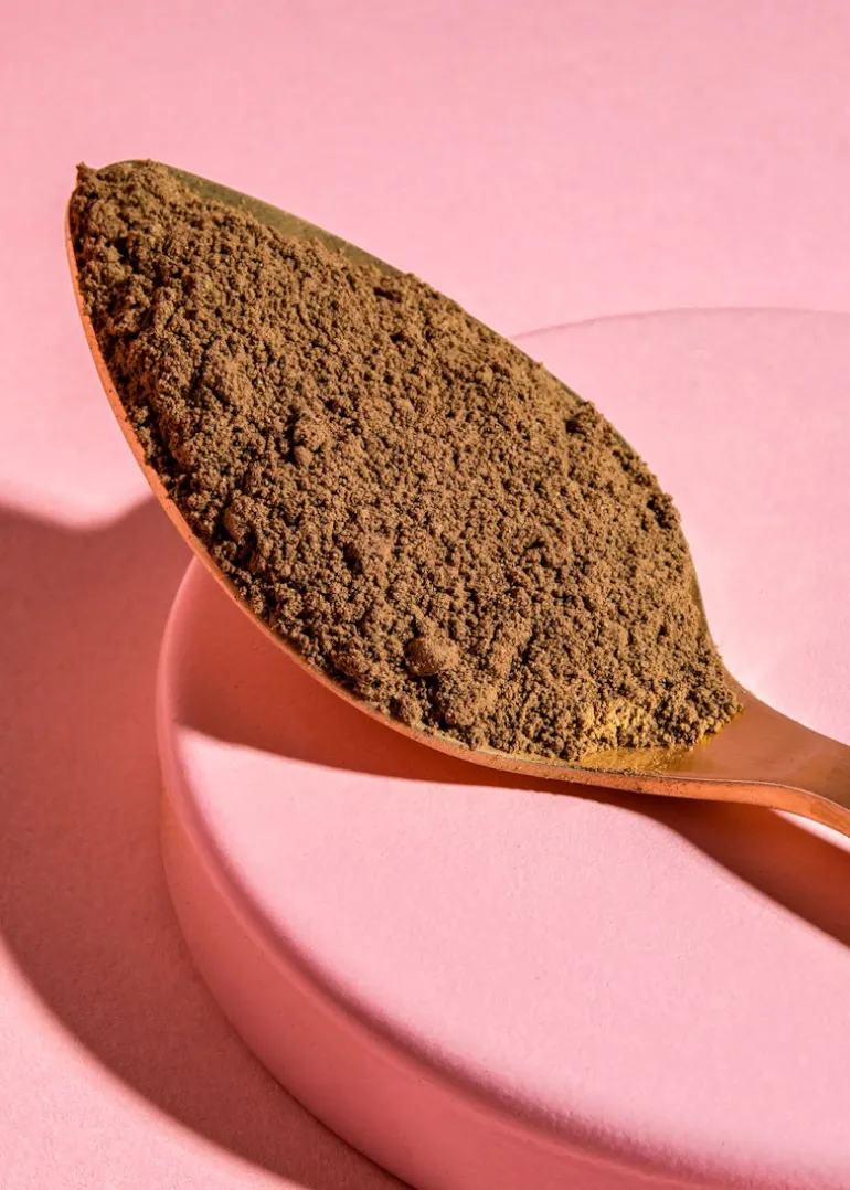 Bio Reishi Pulver 250 g
