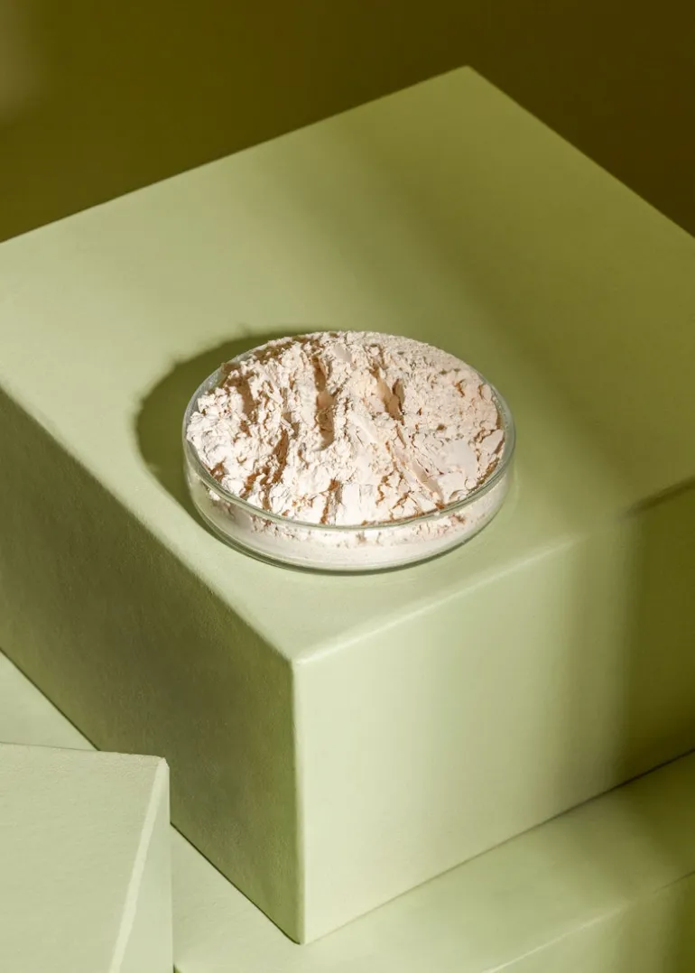 Bio Reisprotein 500 g