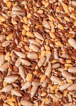 Bio Saatenmischung 2 kg