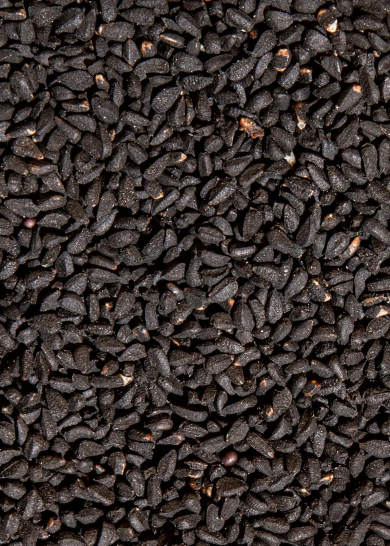 Bio Schwarzkümmelsamen 1 kg