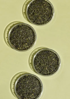 Bio Sencha Tee aus Japan 500 g