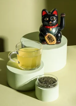 Bio Sencha Tee aus Japan 500 g