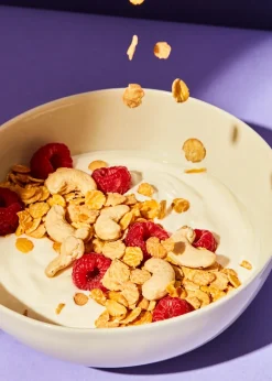 Bio Sojaflocken 2 kg