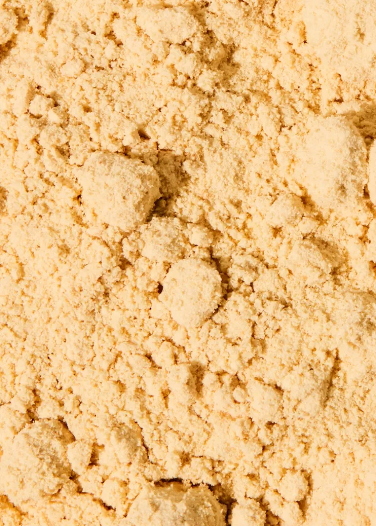 Bio Sojamehl 1 kg