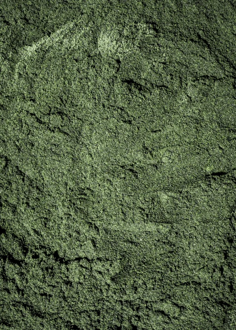 Bio Spirulina Pulver 500 g