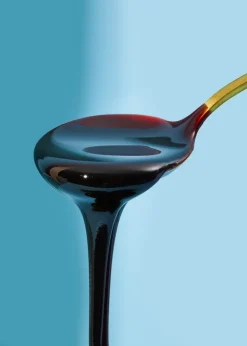Bio Zuckerrübensirup 450 g