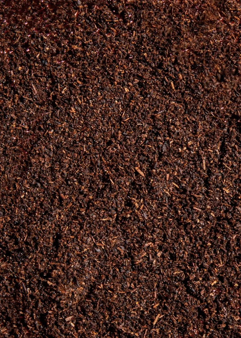 Bourbon Vanillepulver 25 g
