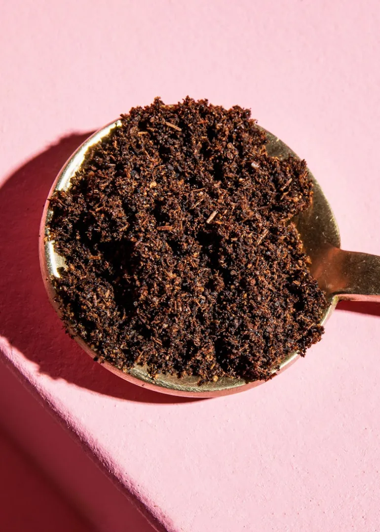 Bourbon Vanillepulver 25 g
