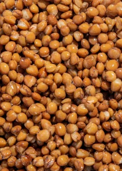 Braune Bio Linsen in der Dose 240 g