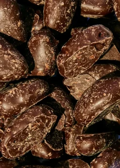 Datteln in Zartbitterschokolade 1 kg