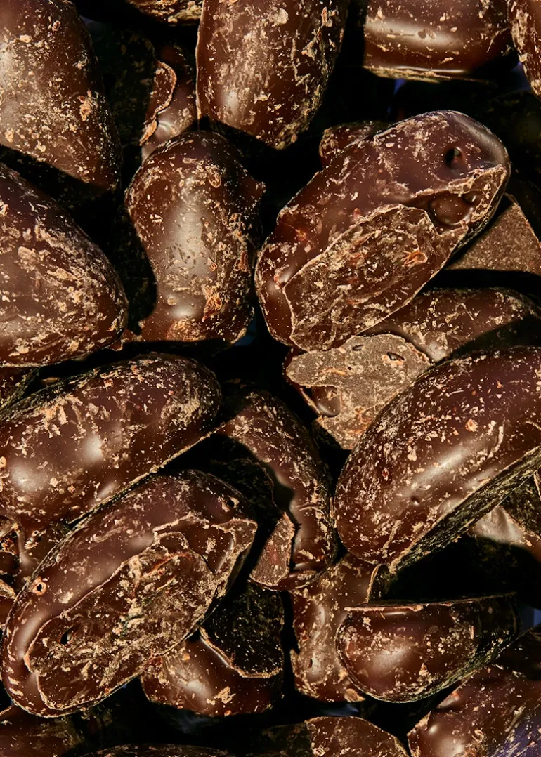 Datteln in Zartbitterschokolade 1 kg