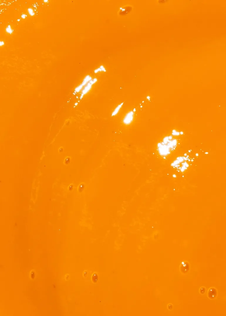 Fruchtpüree Mango 1 kg