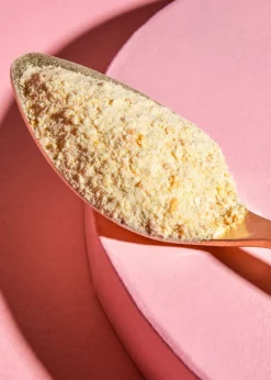 Gefriergetrocknetes Mangopulver 250 g