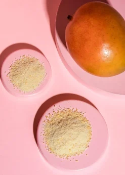 Gefriergetrocknetes Mangopulver 250 g