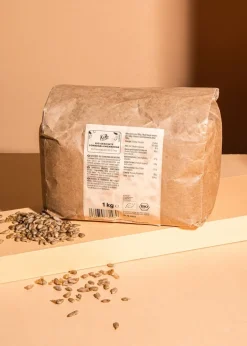 Gekeimte Bio Sonnenblumenkerne 1 kg