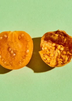 Gepuffte Bio Physalis 500 g