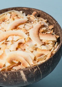 Geröstete Bio Kokoschips 1 kg