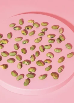 Geröstete und gesalzene Edamame Bohnen 750 g