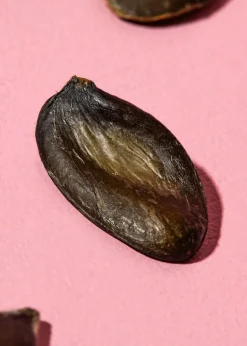 Kürbiskerne aus der Steiermark 1 kg