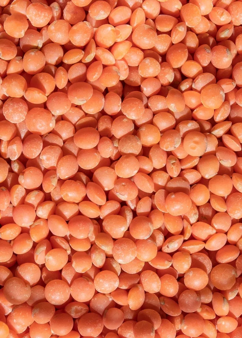 Rote Bio Linsen 2 kg