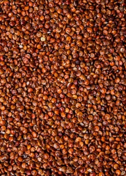 Rote Bio Quinoa 2 kg