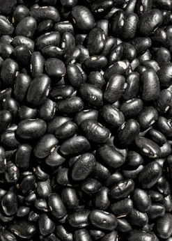 Schwarze Bio Bohnen 2 kg