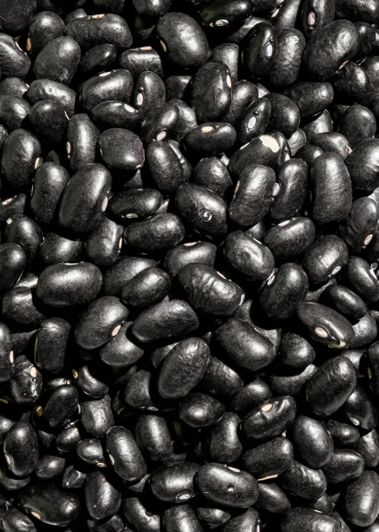 Schwarze Bio Bohnen 2 kg