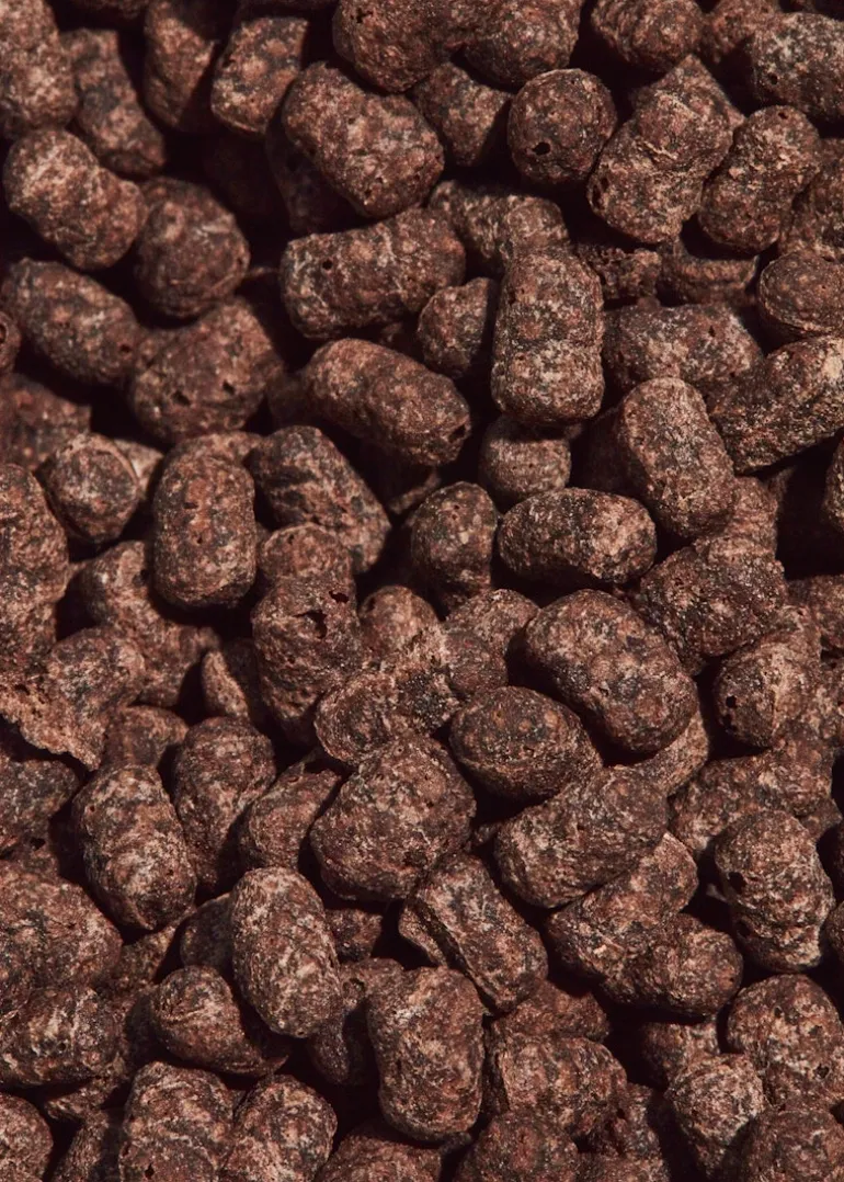 Soja Protein Crispies 77 % mit Kakao 1 kg