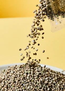 Ungeschälte Bio Hanfsamen 1 kg