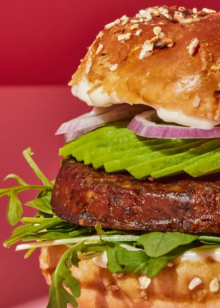 Veganer Bio Burger Tofu und Wakame 160 g
