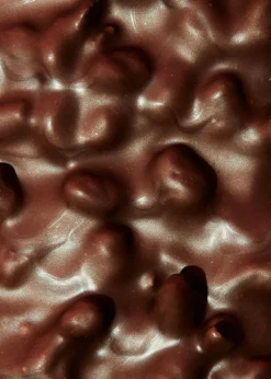 Veganer Proteinriegel Schokolade Brownie 55 g