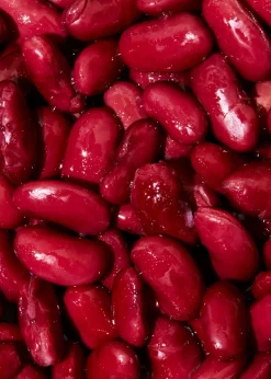 Verzehrfertige Bio Kidneybohnen in der Dose 240 g