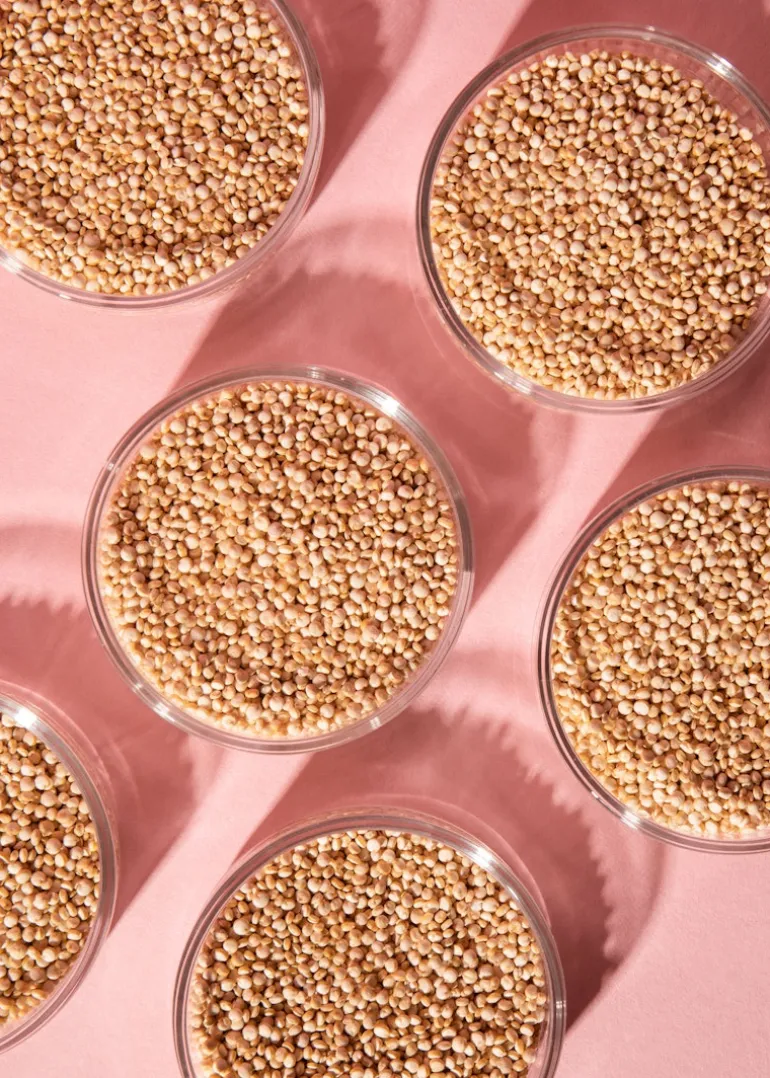 Weiße Bio Quinoa 2 kg