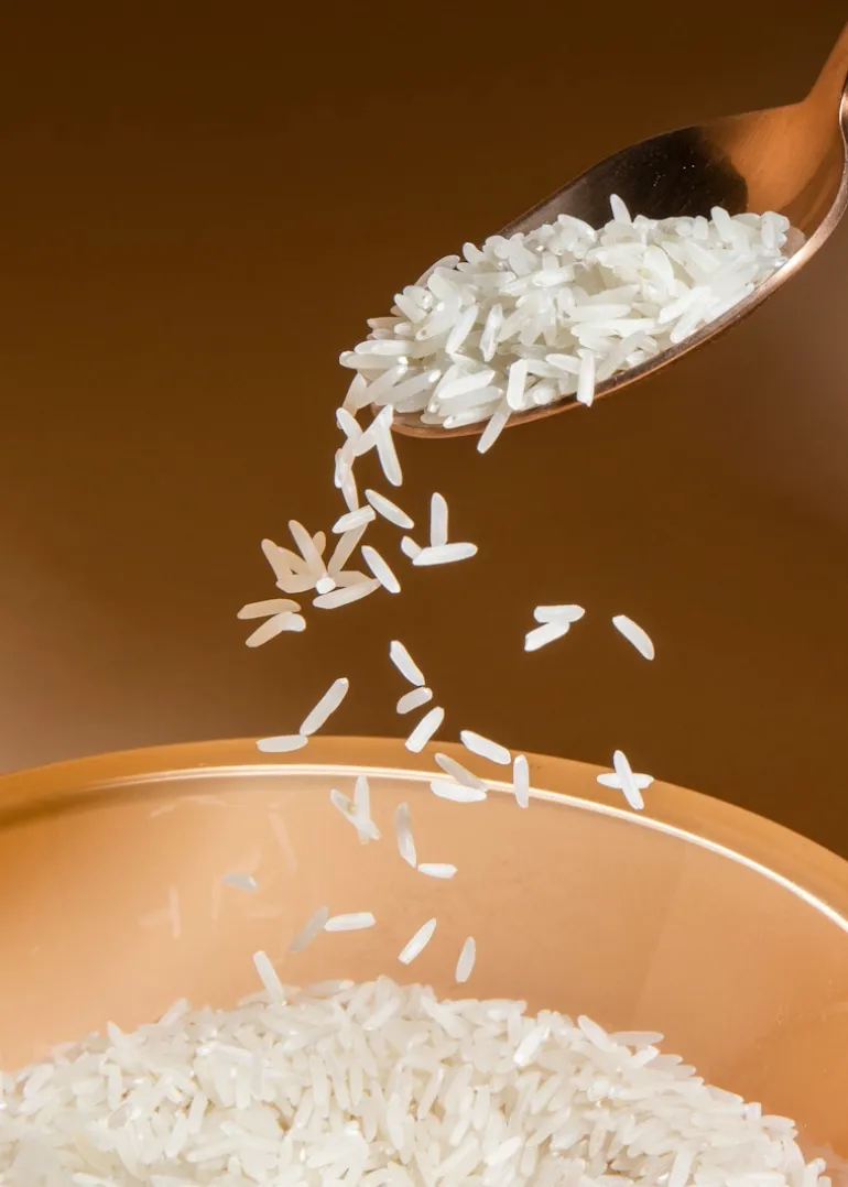 Weißer Bio Basmati Reis 5 kg